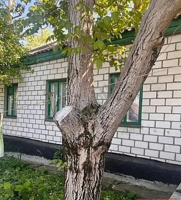 Продам 2а дома на участке в городе Луганск улица 22 Линия