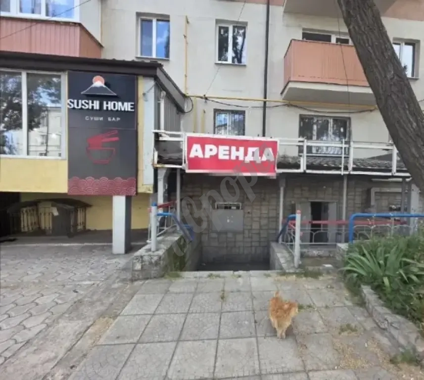 Сдам коммерческое помещение Центр города Ул.Казанцева