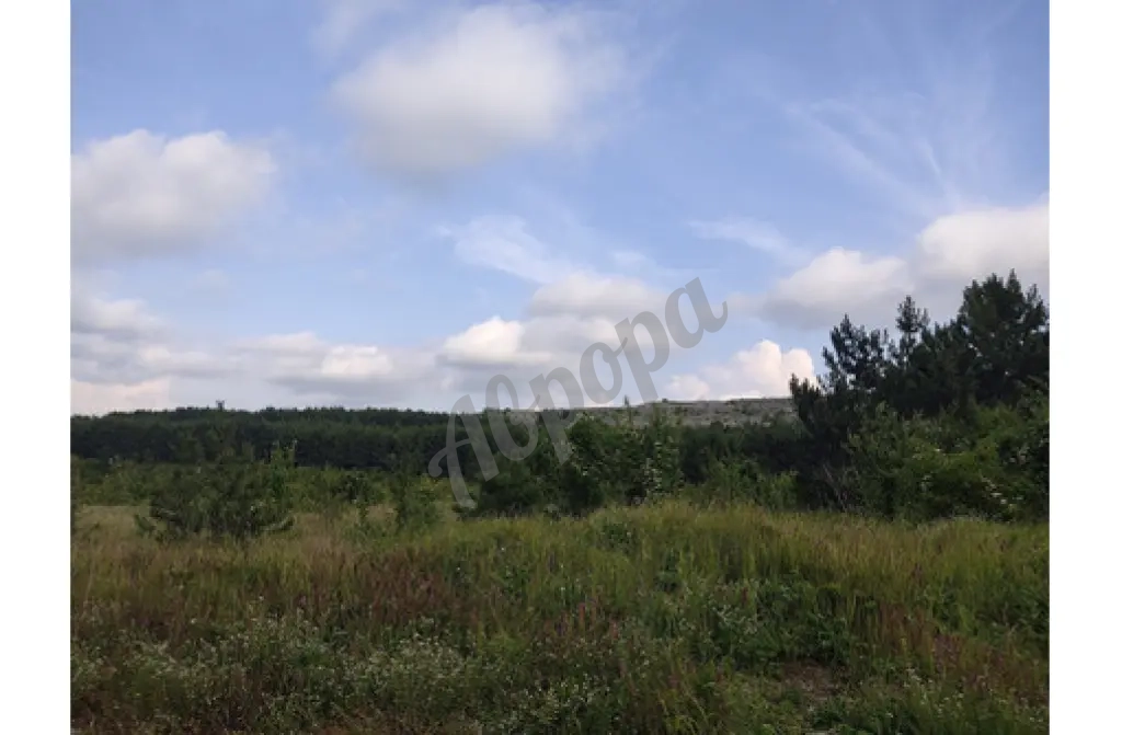 Продам свой участок 38 сот. ЛПХ