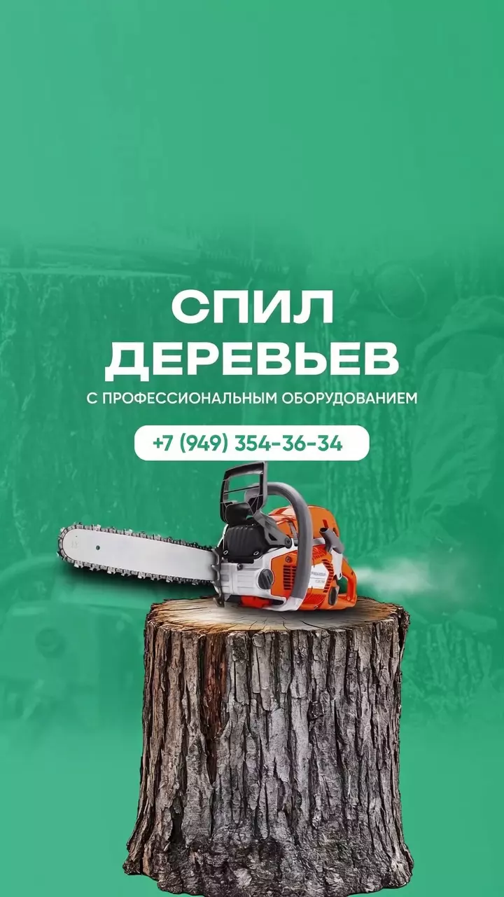 Спил деревьев, обрезка веток Снежное, Торез, Шахтерск; ДНР