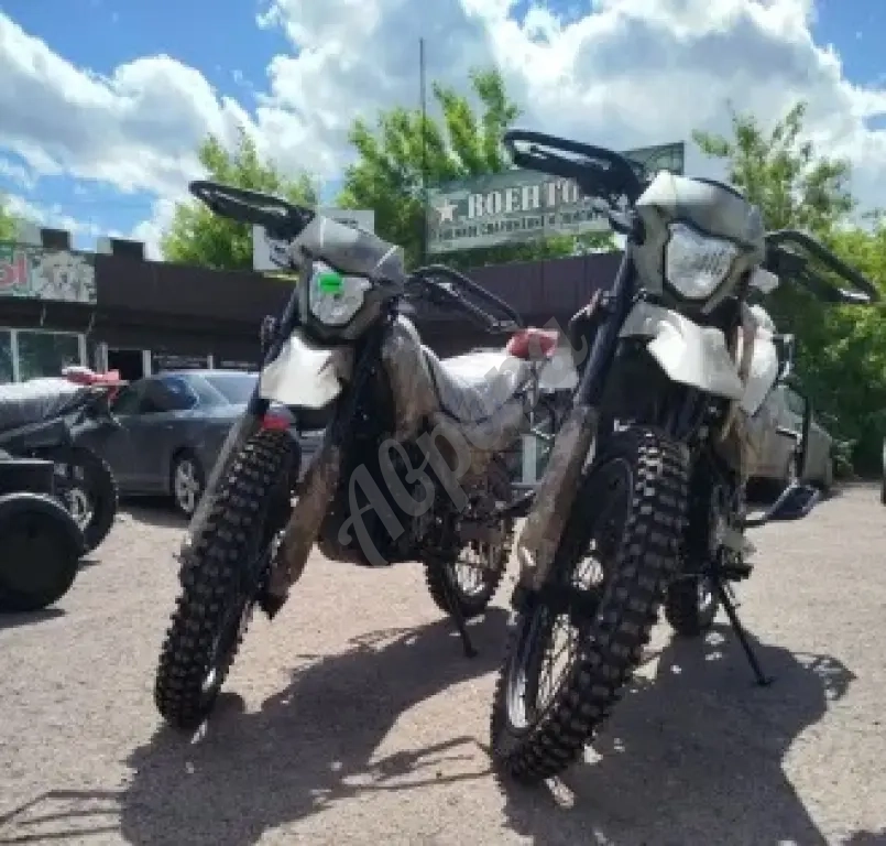Racer ZWC2-300X Panther